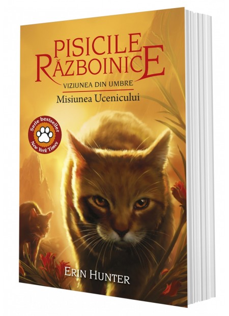 Pisicile Razboinice vol. 31-Viziunea din umbre. Misiunea Ucenicului 
